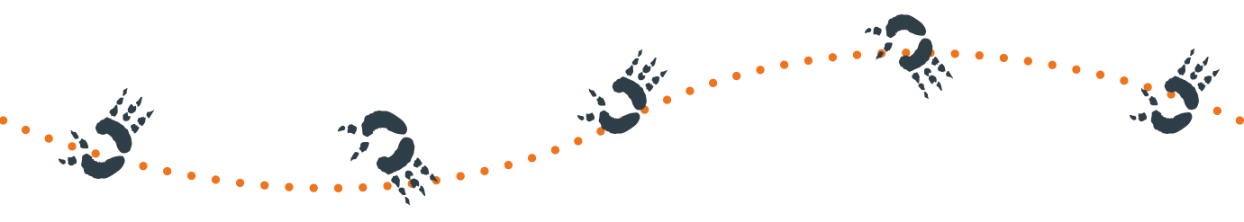 Drop bear slider paws with dots Image Drop bear slider paws with dots Image