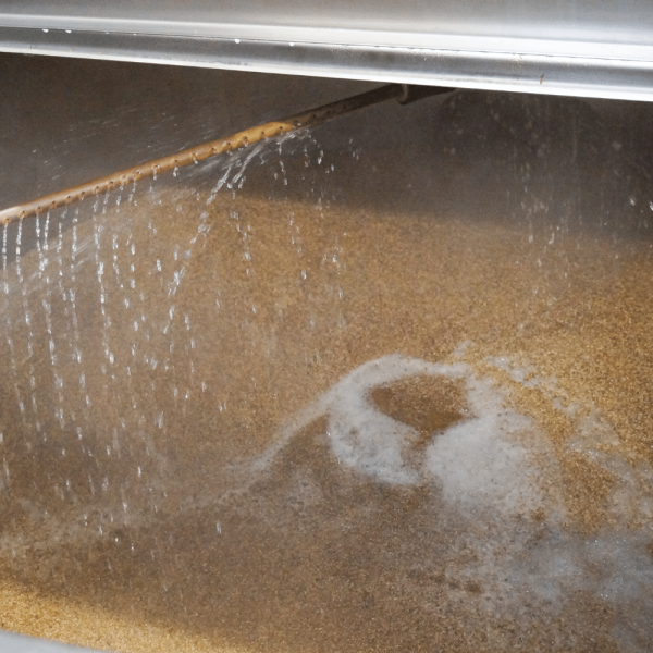 gluten free alcohol free beer being made